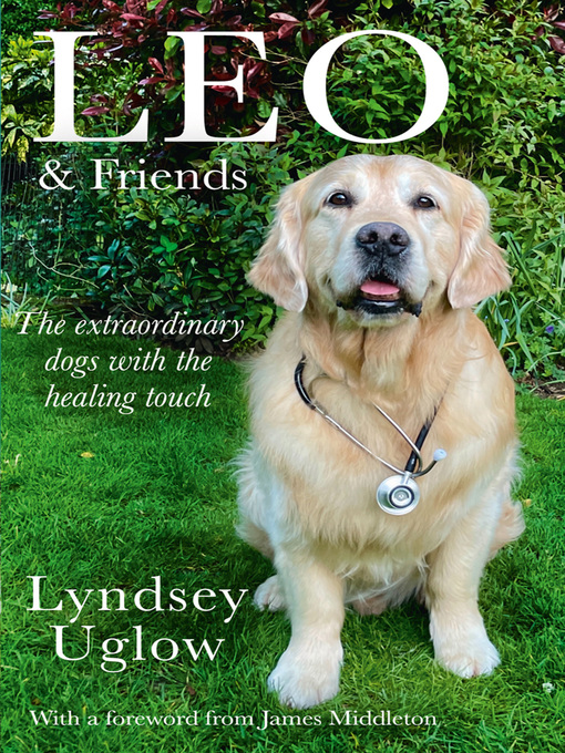 Cover image for Leo & Friends